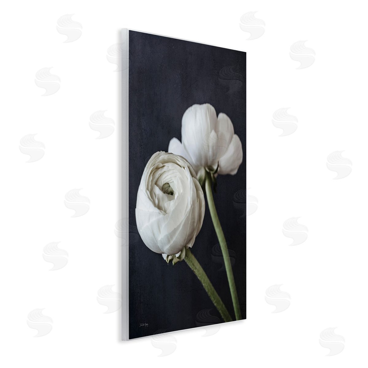 Jennifer Rigsby Modern Ranunculus Flower Blossom Arrangement White Petals Wall Plaque Art Print
