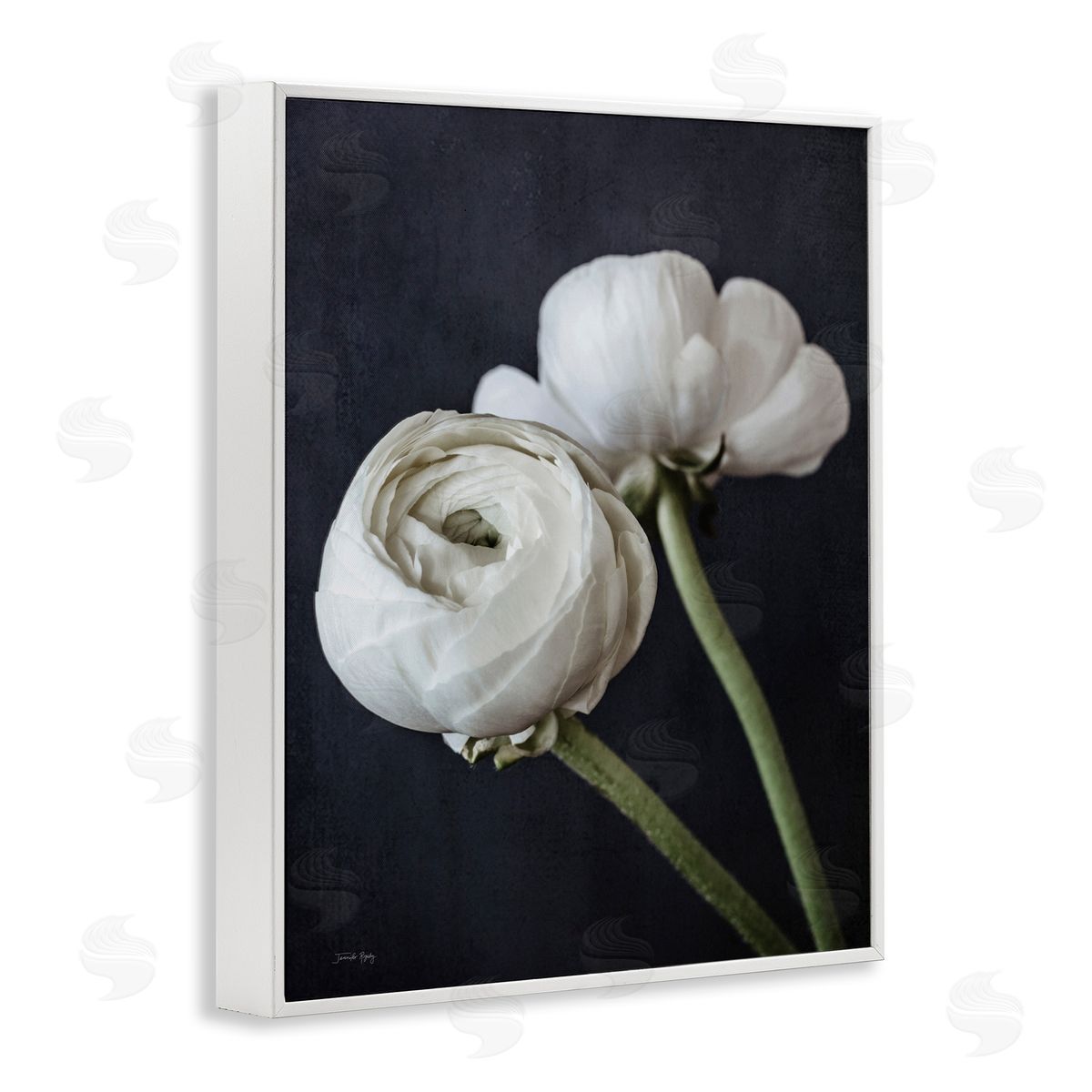 Jennifer Rigsby Modern Ranunculus Flower Blossom Arrangement White Petals White Framed Giclee Wall Art Print