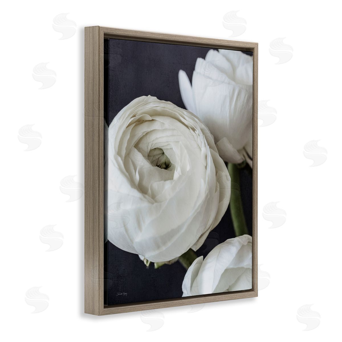 Jennifer Rigsby Budding Ranunculus Flower Blooming Close Up Petals Brown Floating Frame Canvas Wall Art Print