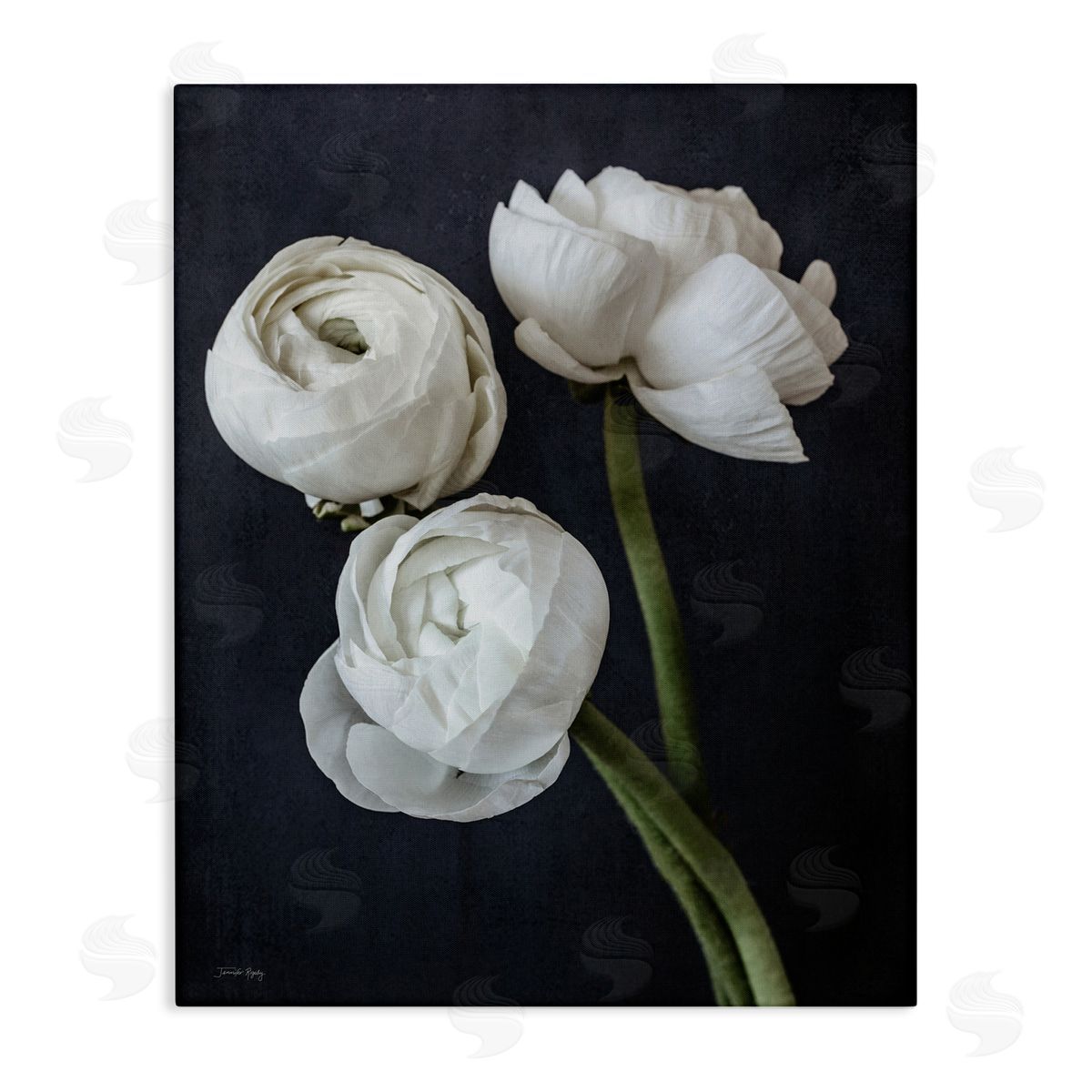 Jennifer Rigsby Chic Ranunculus Flower Blossoms Modern Arrangement  Stretched Canvas Wall Art Print