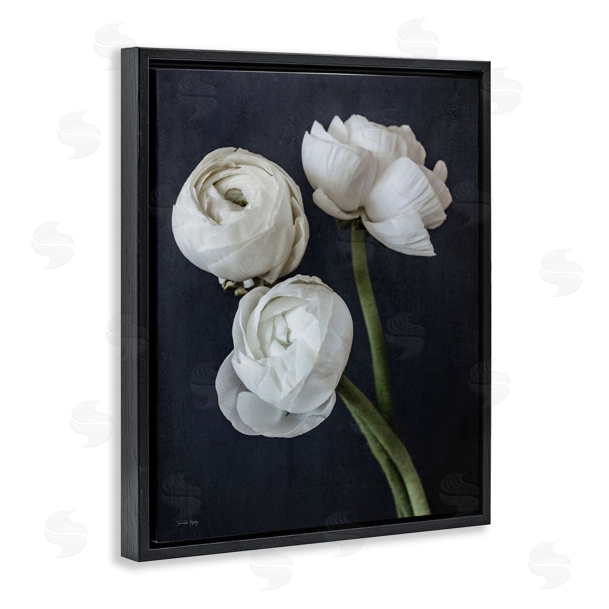 Jennifer Rigsby Chic Ranunculus Flower Blossoms Modern Arrangement  Black Floating Frame Canvas Wall Art Print