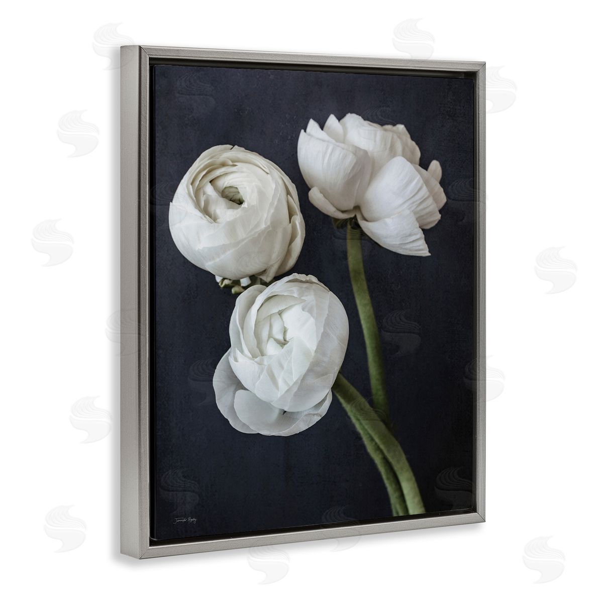 Jennifer Rigsby Chic Ranunculus Flower Blossoms Modern Arrangement  Gray Floating Frame Canvas Wall Art Print