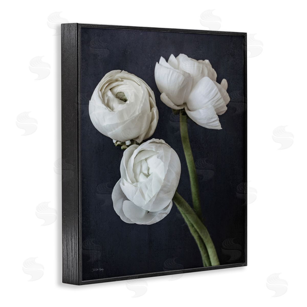 Jennifer Rigsby Chic Ranunculus Flower Blossoms Modern Arrangement  Black Framed Giclee Wall Art Print