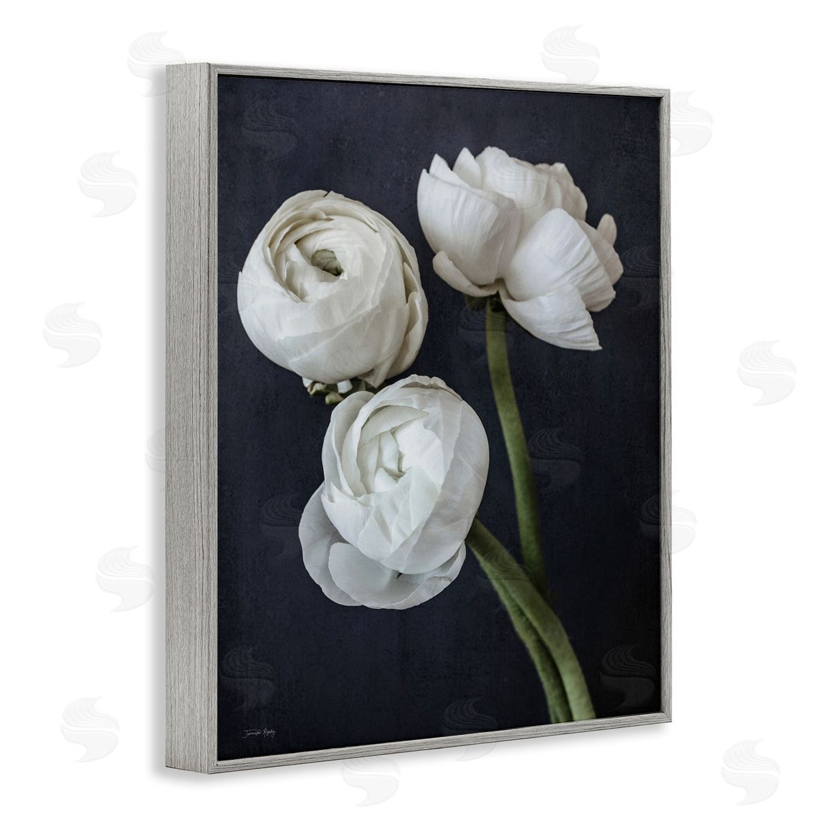Jennifer Rigsby Chic Ranunculus Flower Blossoms Modern Arrangement  Gray Framed Giclee Wall Art Print
