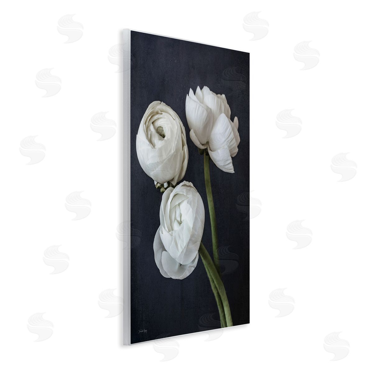 Jennifer Rigsby Chic Ranunculus Flower Blossoms Modern Arrangement  Wall Plaque Art Print