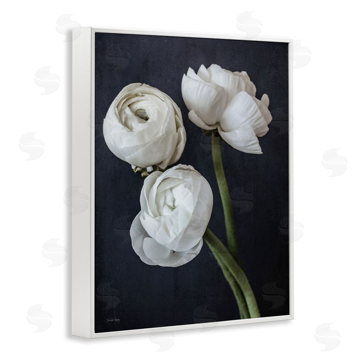 Jennifer Rigsby Chic Ranunculus Flower Blossoms Modern Arrangement  White Framed Giclee Wall Art Print