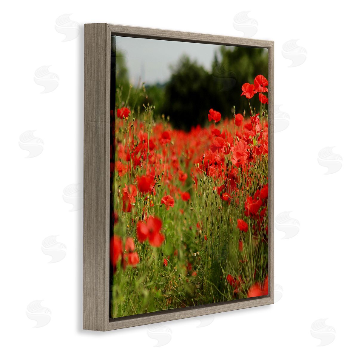 Dan Meneely Brilliant Red Poppy Meadow Scenic Flower Blooms Brown Floating Frame Canvas Wall Art Print
