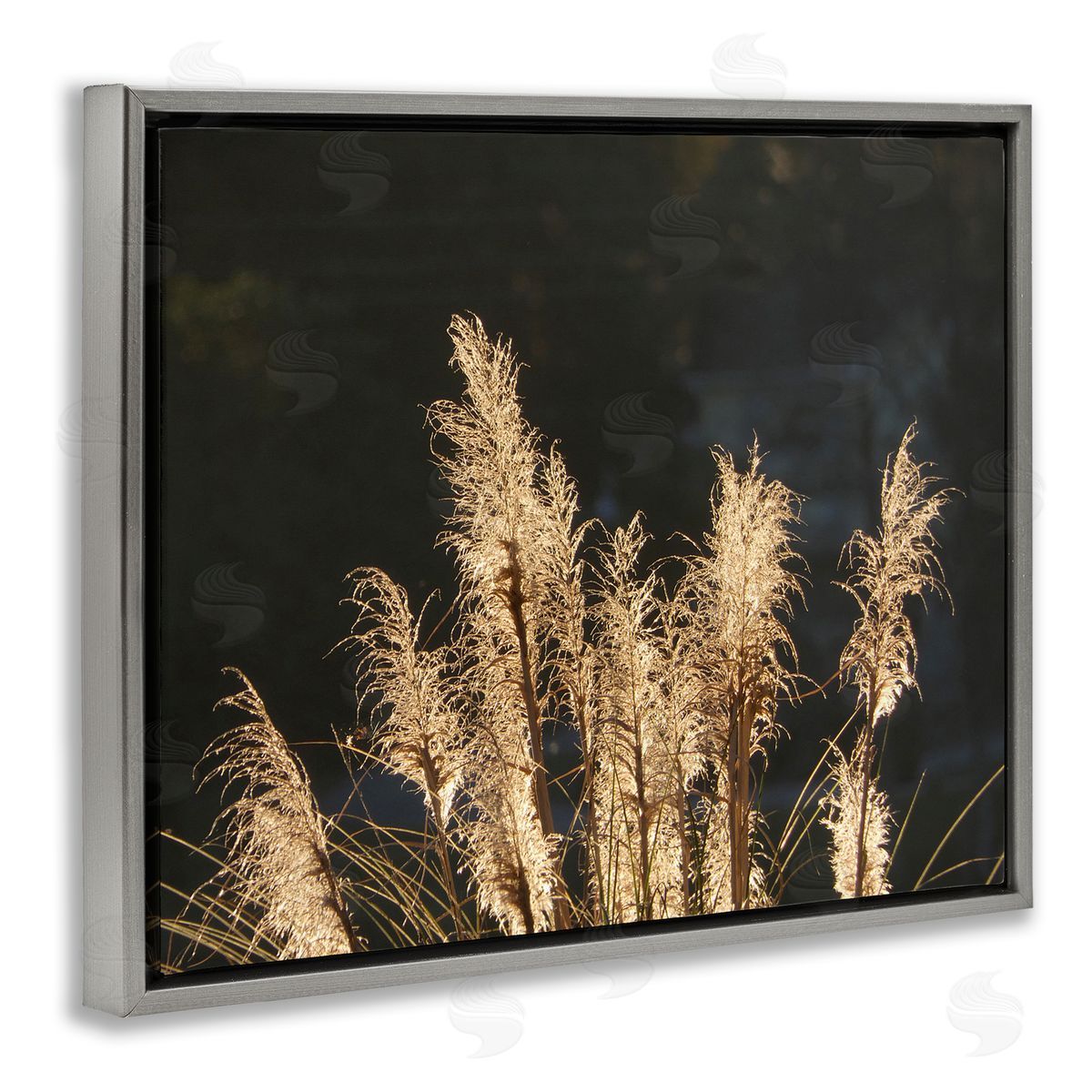 Gail Peck Moonlit Pampas Grass Rural Reeds Plant Botanicals  Gray Floating Frame Canvas Wall Art Print