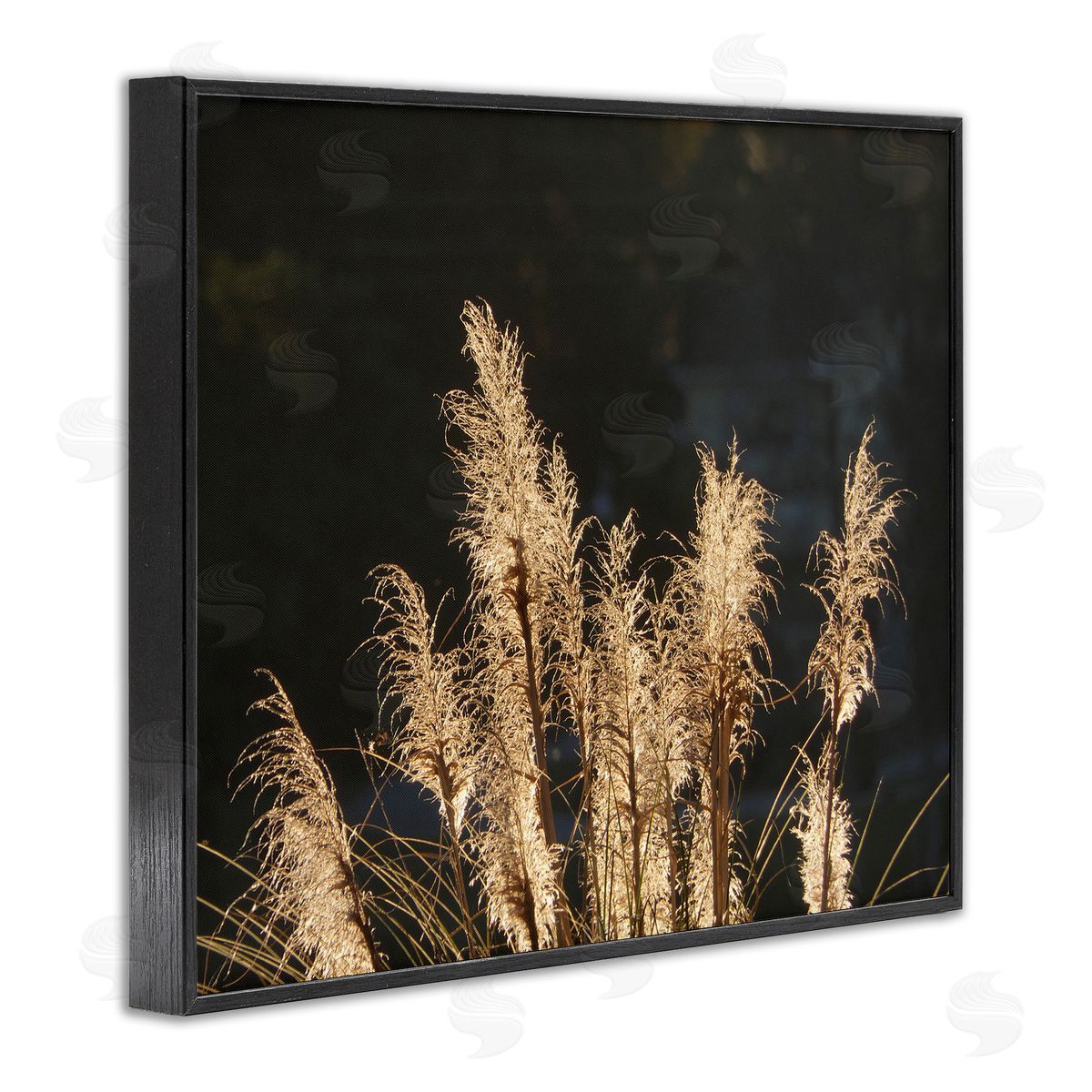 Gail Peck Moonlit Pampas Grass Rural Reeds Plant Botanicals  Black Framed Giclee Wall Art Print