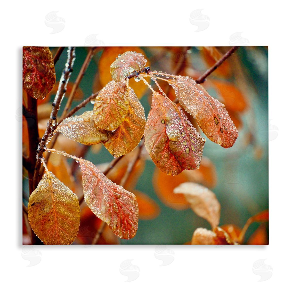 Gail Peck Autumn Tree Leaves Water Droplets Fall Foliage Stretched Canvas Wall Art Print