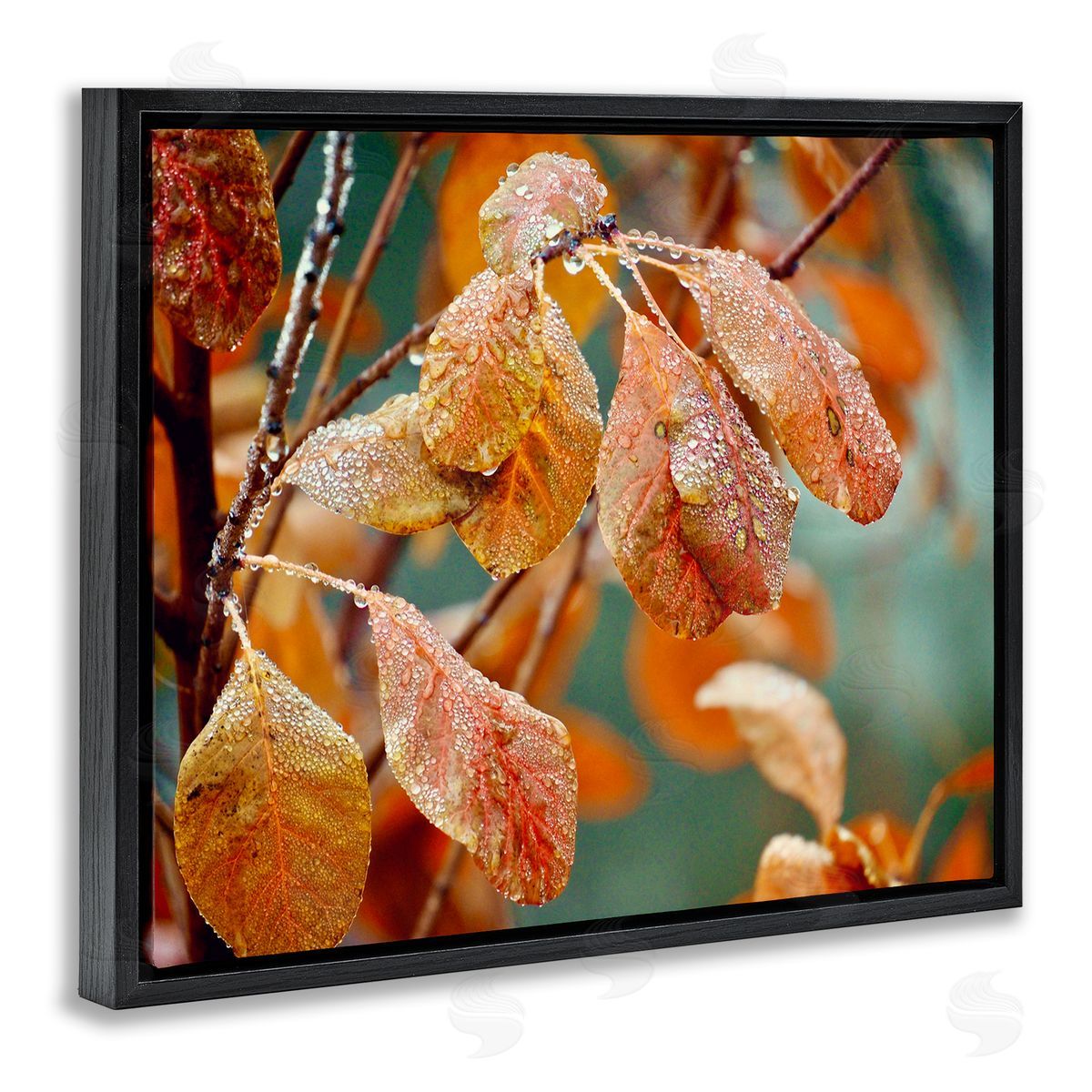 Gail Peck Autumn Tree Leaves Water Droplets Fall Foliage Black Floating Frame Canvas Wall Art Print