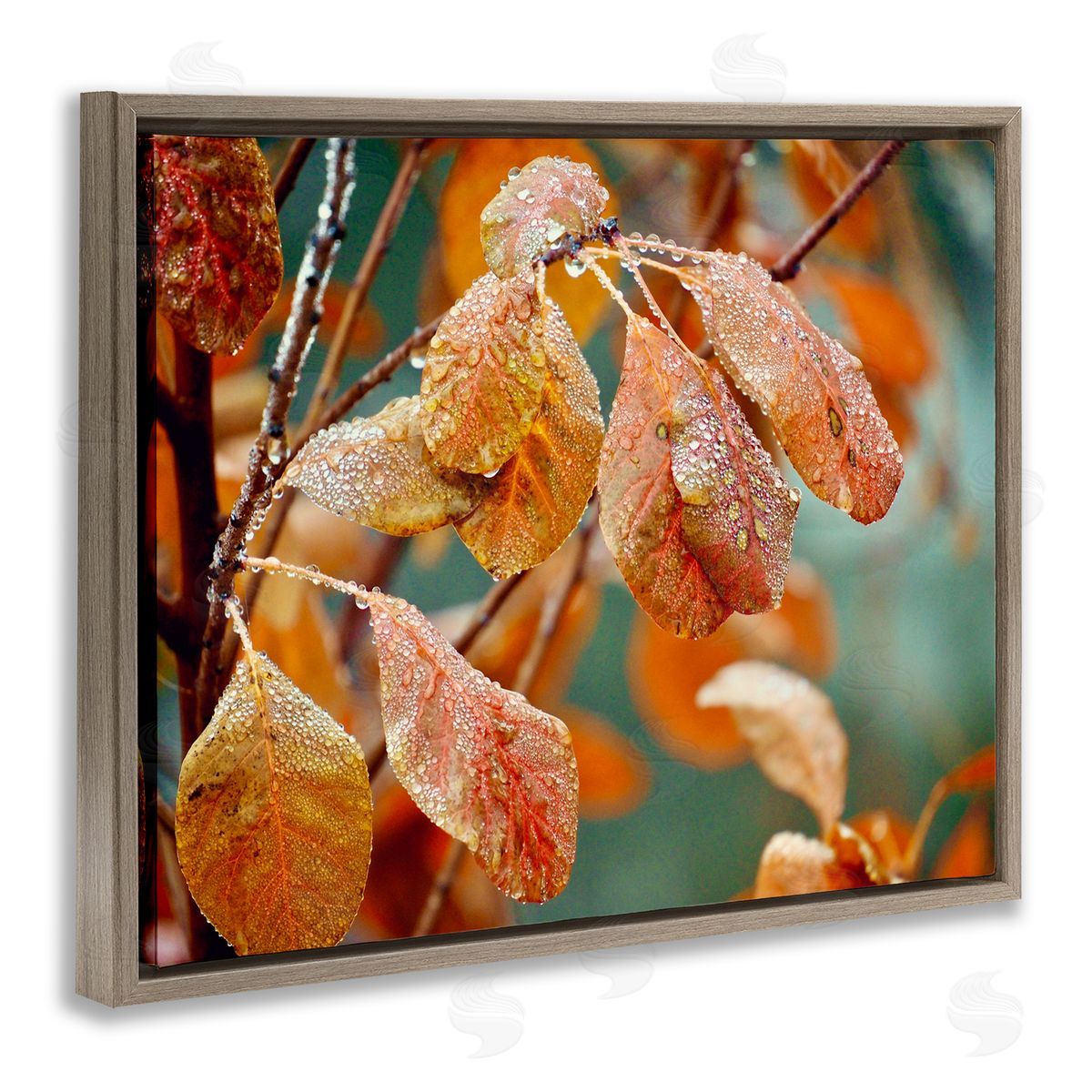 Gail Peck Autumn Tree Leaves Water Droplets Fall Foliage Brown Floating Frame Canvas Wall Art Print