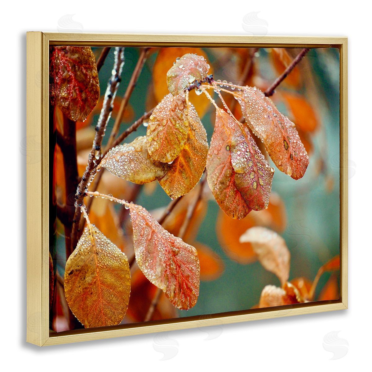Gail Peck Autumn Tree Leaves Water Droplets Fall Foliage Gold Floating Frame Canvas Wall Art Print