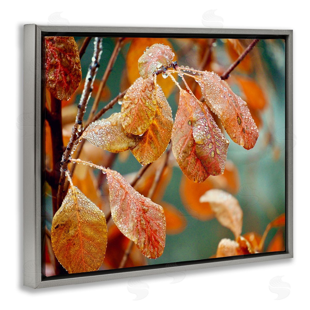 Gail Peck Autumn Tree Leaves Water Droplets Fall Foliage Gray Floating Frame Canvas Wall Art Print