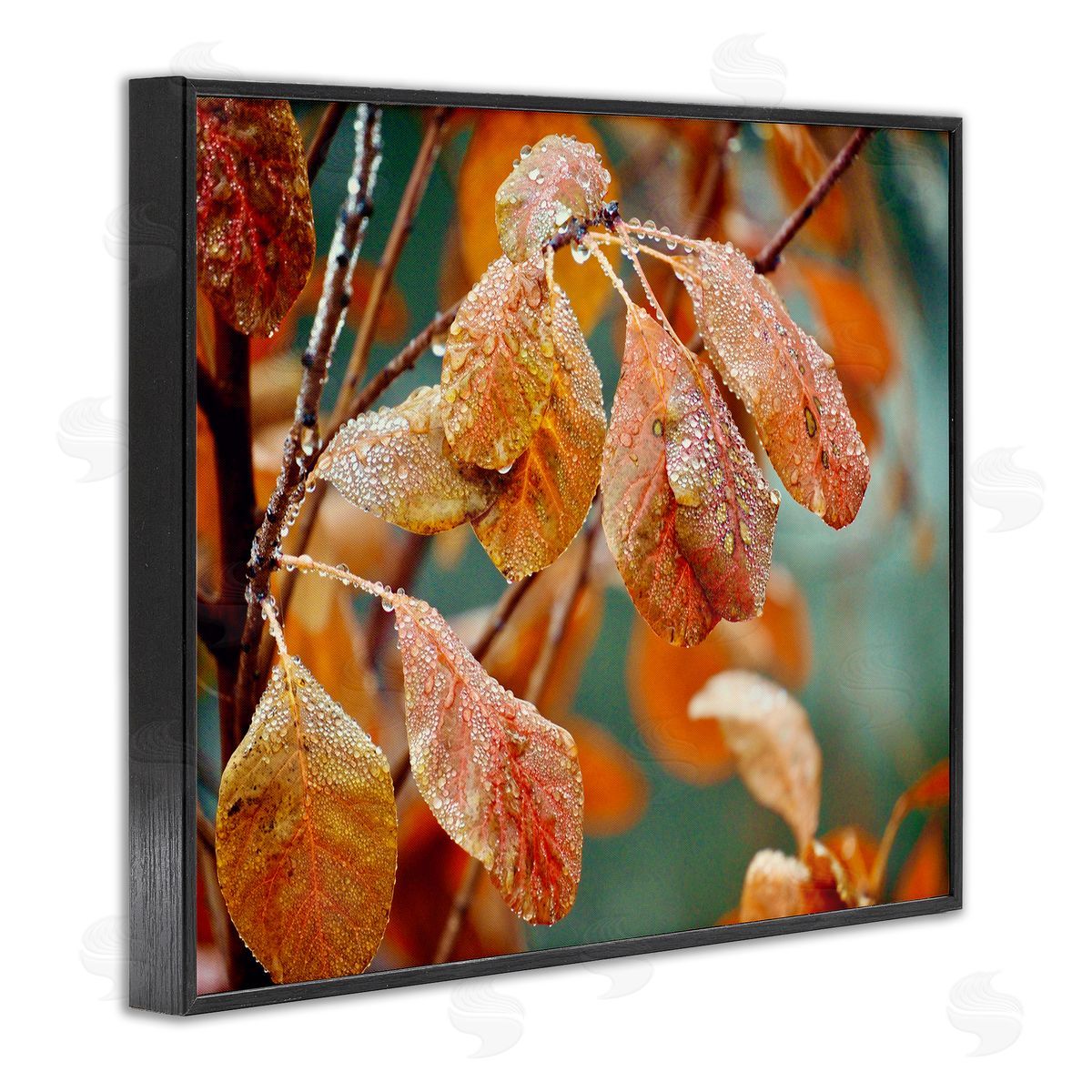 Gail Peck Autumn Tree Leaves Water Droplets Fall Foliage Black Framed Giclee Wall Art Print