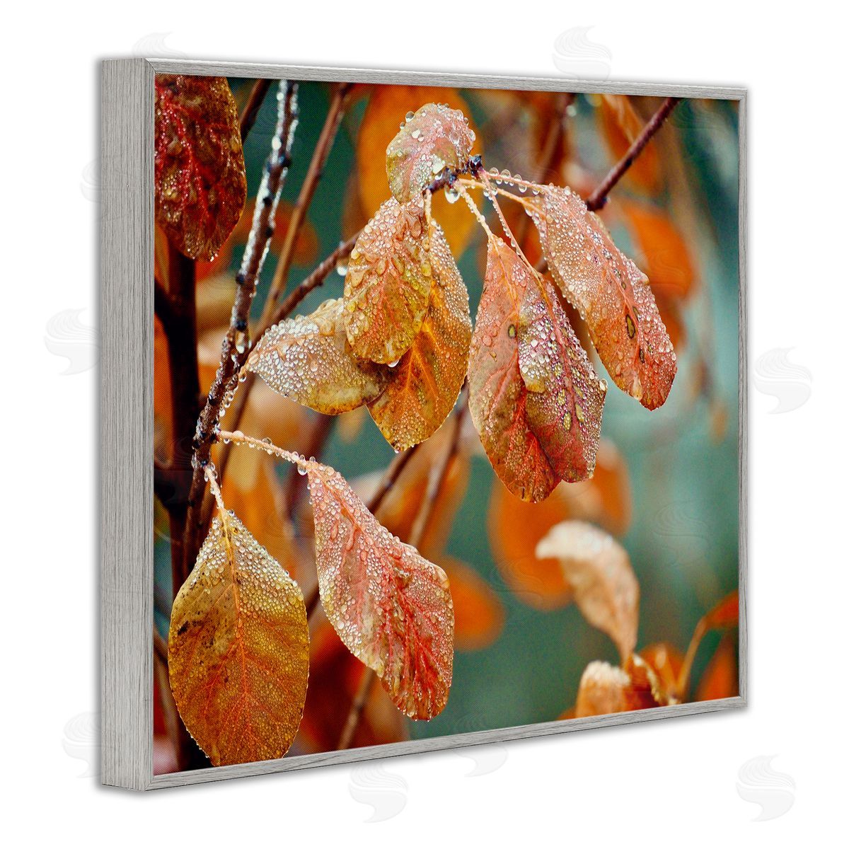 Gail Peck Autumn Tree Leaves Water Droplets Fall Foliage Gray Framed Giclee Wall Art Print