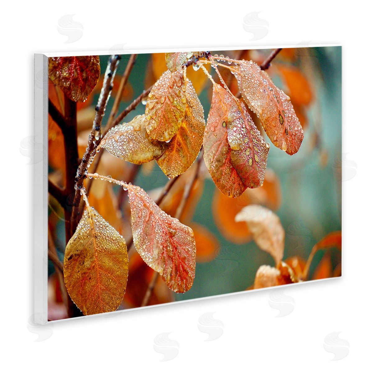 Gail Peck Autumn Tree Leaves Water Droplets Fall Foliage Wall Plaque Art Print