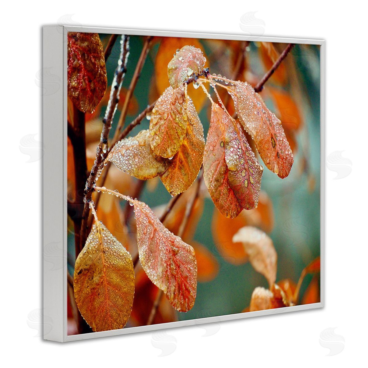Gail Peck Autumn Tree Leaves Water Droplets Fall Foliage White Framed Giclee Wall Art Print