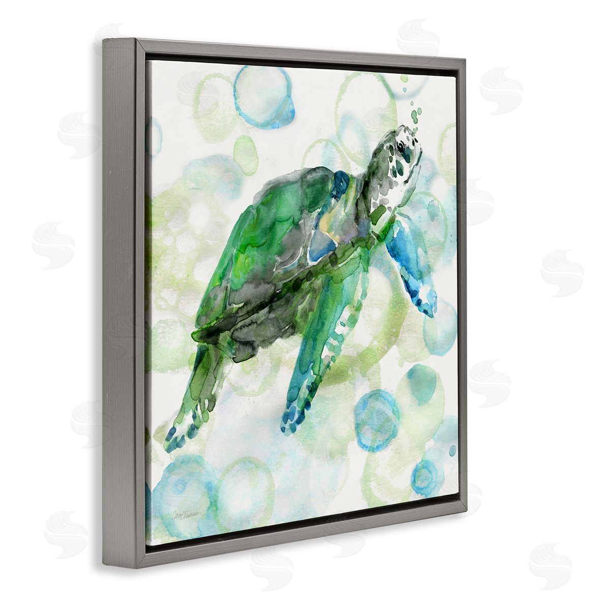 Carol Robinson Aquatic Sea Turtle Water Bubbles Watercolor Detail Gray Floating Frame Canvas Wall Art Print