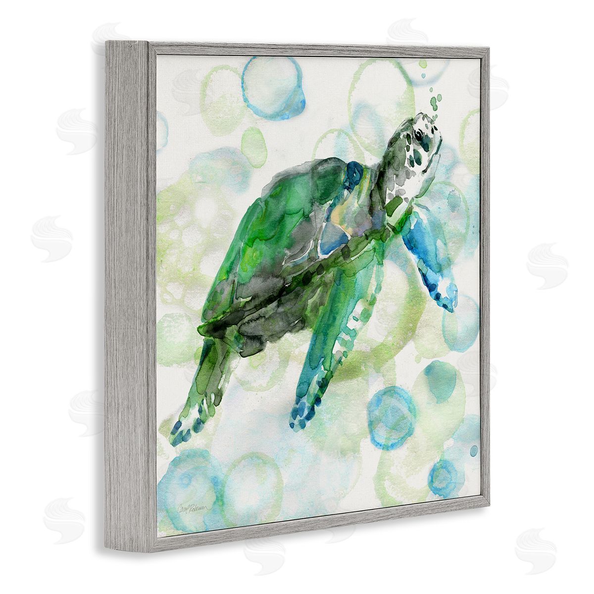 Carol Robinson Aquatic Sea Turtle Water Bubbles Watercolor Detail Gray Framed Glicee Wall Art Print