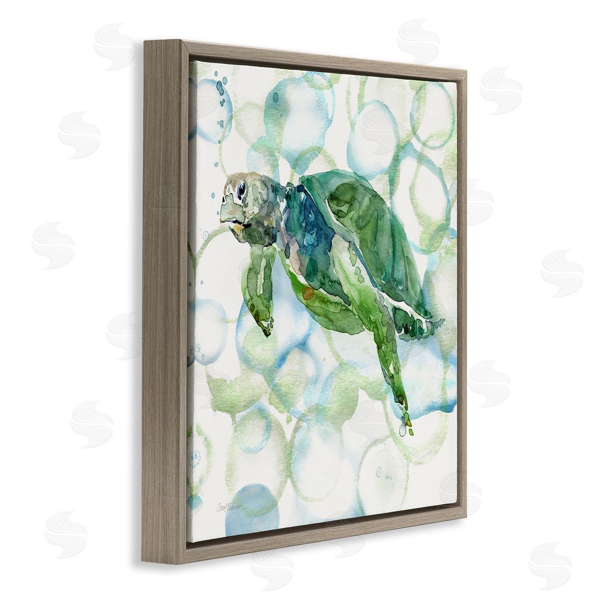 Carol Robinson Watercolor Sea Turtle Swimming Ocean Water Bubbles Brown Floating Frame Canvas Wall Art Print