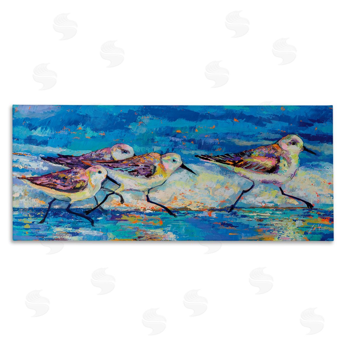 Jeanette Vertentes Modern Street Style Sandpipers Walking Beach Shoreline