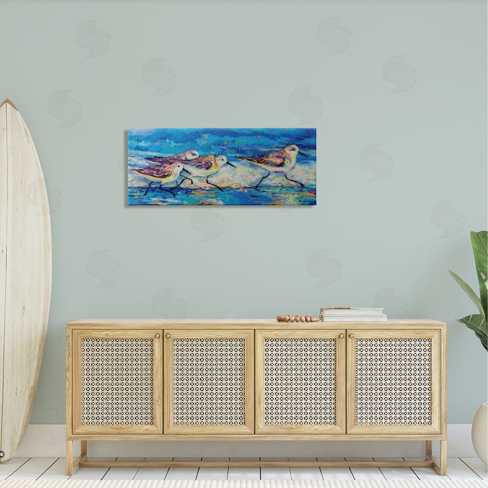 Jeanette Vertentes Modern Street Style Sandpipers Walking Beach Shoreline