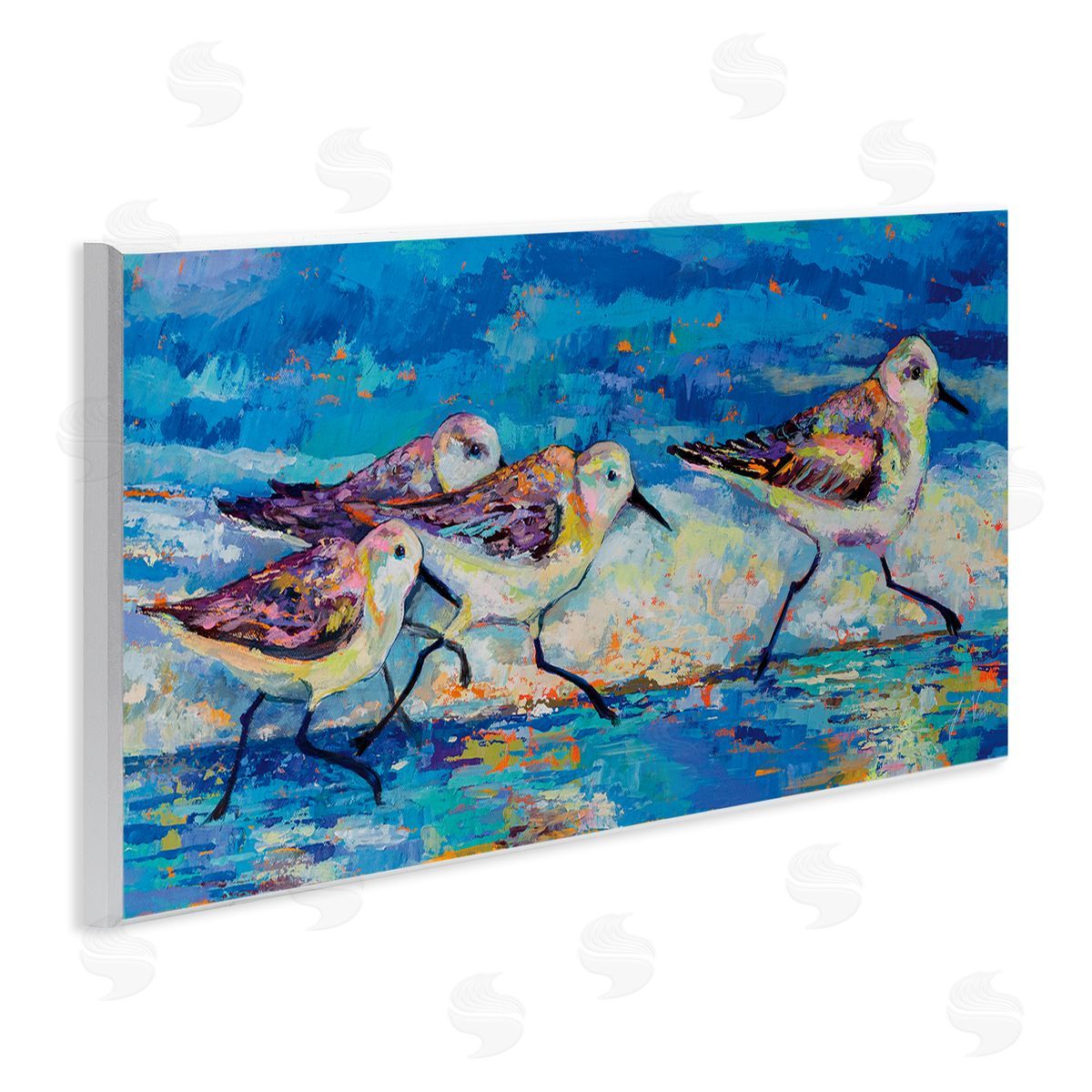 Jeanette Vertentes Modern Street Style Sandpipers Walking Beach Shoreline