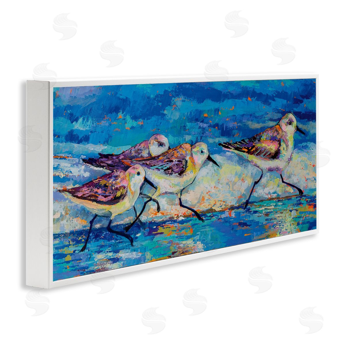 Jeanette Vertentes Modern Street Style Sandpipers Walking Beach Shoreline