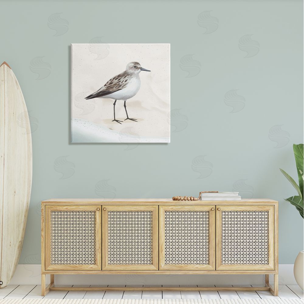Lucca Sheppard Sandpiper Bird at Water's Edge Beach Shoreline  Canvas Wall Art in Room