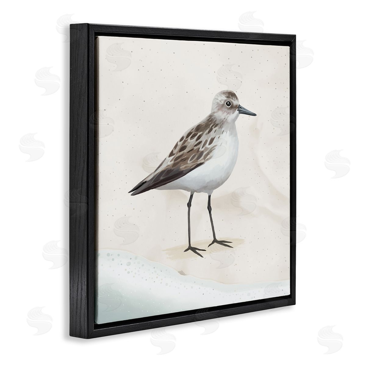 Lucca Sheppard Sandpiper Bird at Water's Edge Beach Shoreline  Black Floating Frame Canvas Wall Art Print