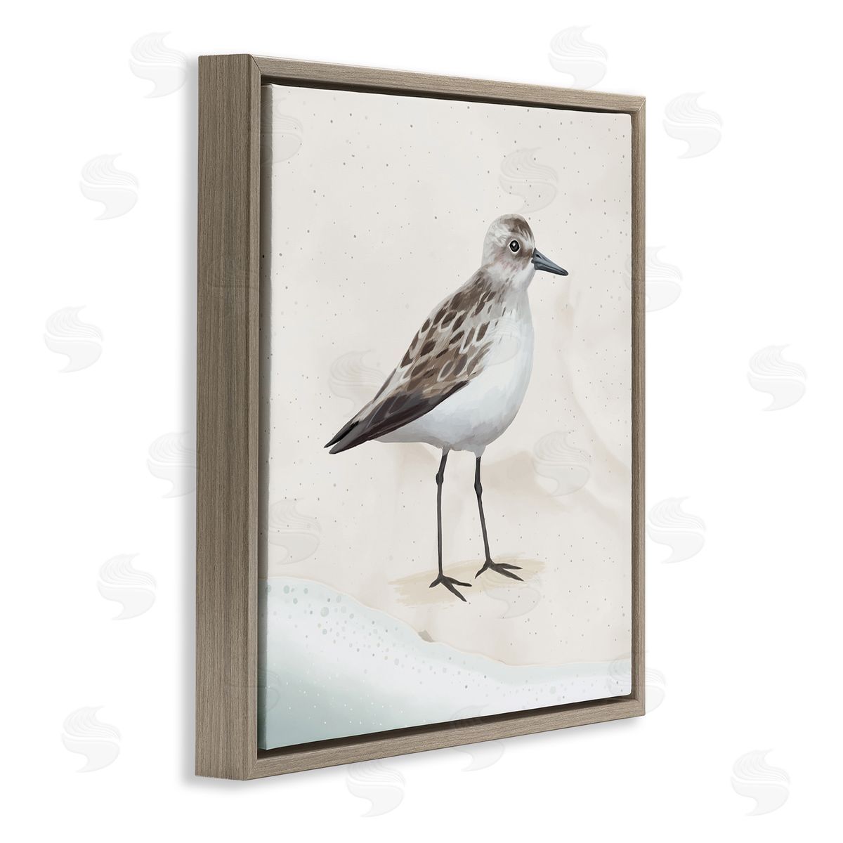 Lucca Sheppard Sandpiper Bird at Water's Edge Beach Shoreline  Brown Floating Frame Canvas Wall Art Print