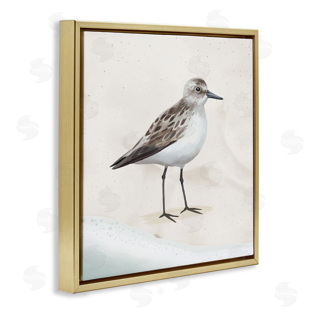 Lucca Sheppard Sandpiper Bird at Water's Edge Beach Shoreline  Gold Floating Frame Canvas Wall Art Print