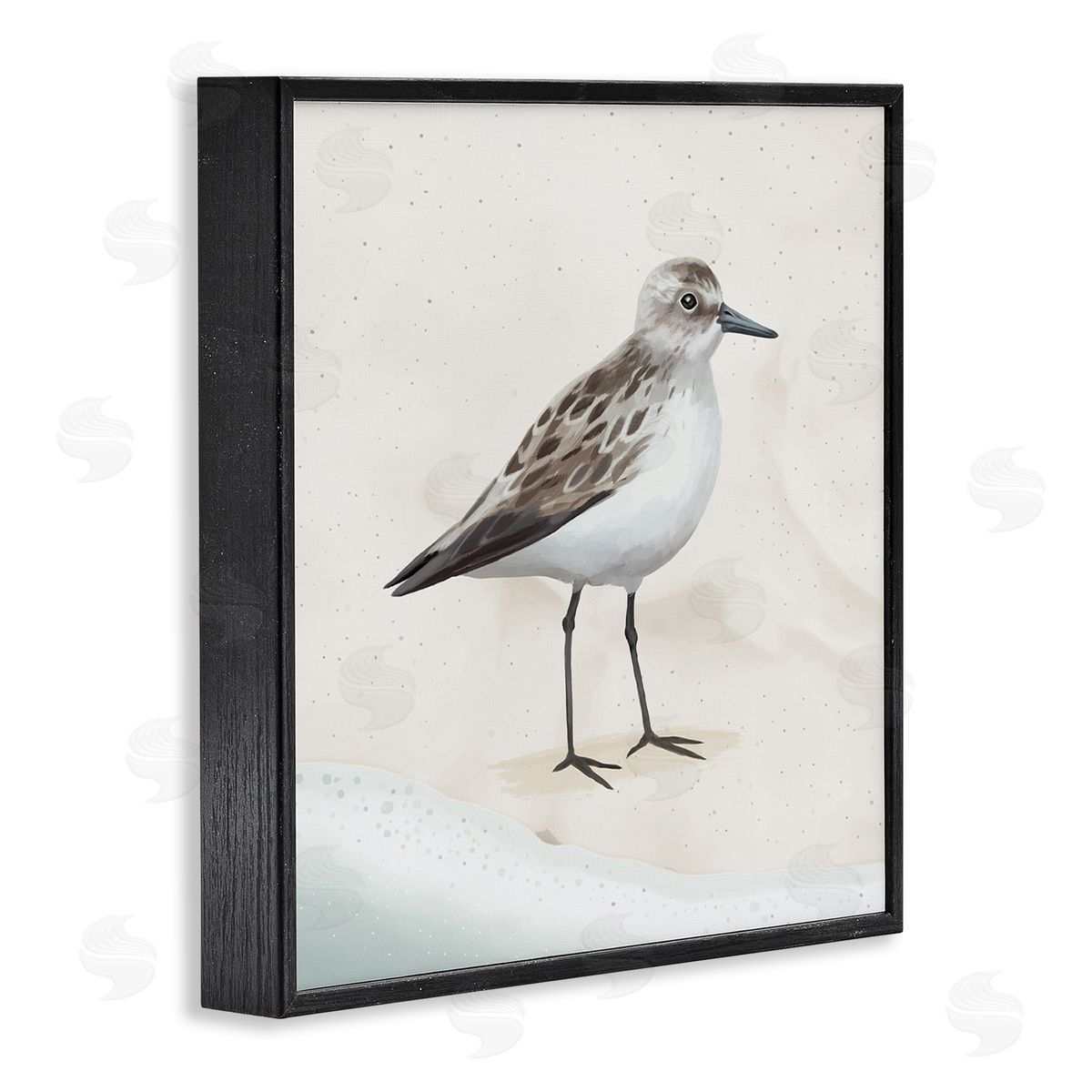 Lucca Sheppard Sandpiper Bird at Water's Edge Beach Shoreline  Black Framed Glicee Wall Art Print