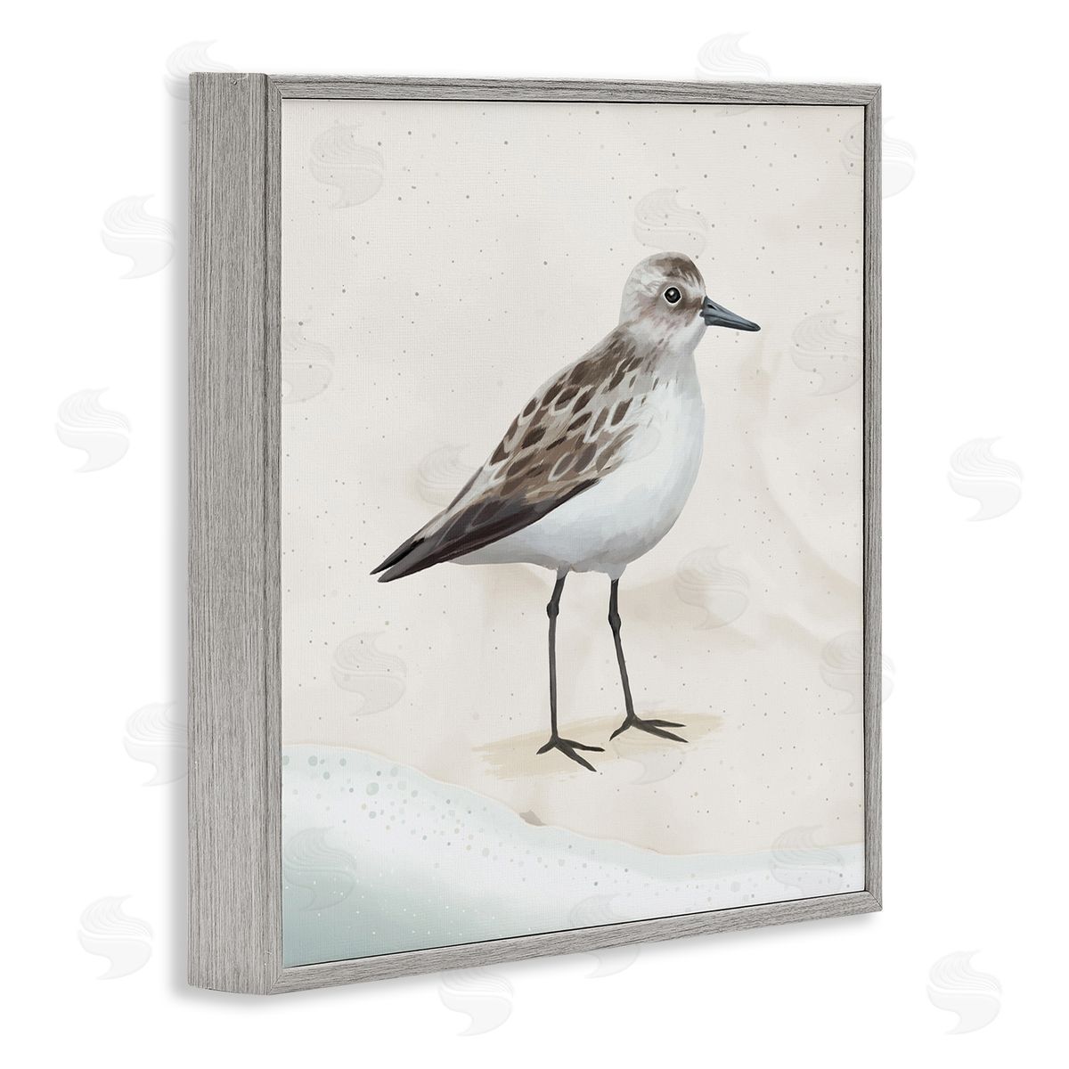 Lucca Sheppard Sandpiper Bird at Water's Edge Beach Shoreline  Gray Framed Glicee Wall Art Print