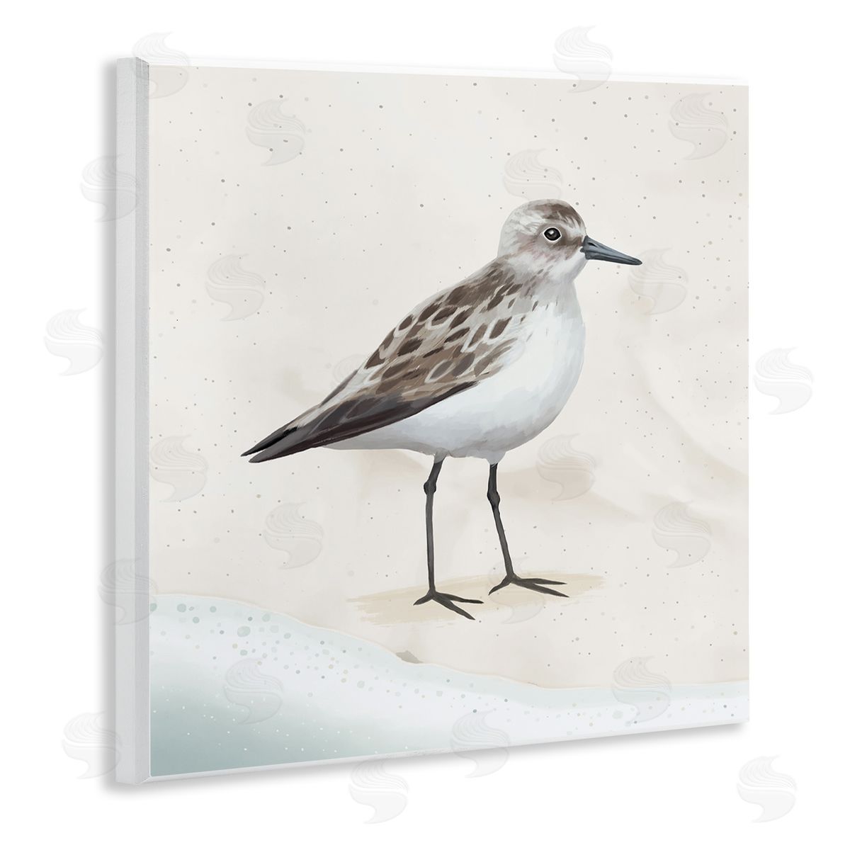 Lucca Sheppard Sandpiper Bird at Water's Edge Beach Shoreline  Wooden Wall Plaque Art Print