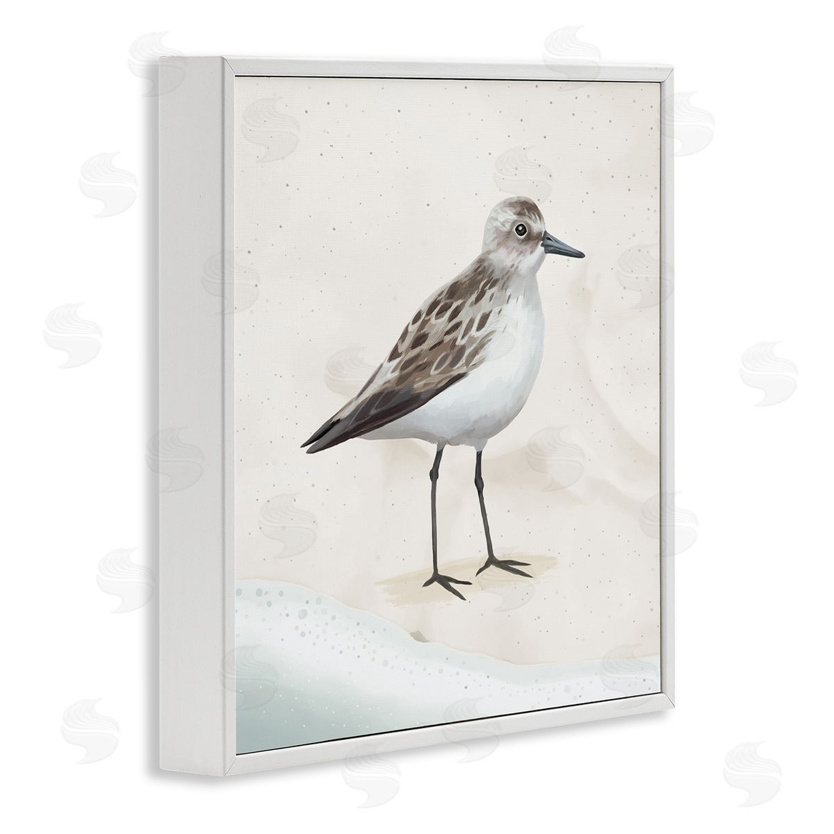 Lucca Sheppard Sandpiper Bird at Water's Edge Beach Shoreline  White Framed Glicee Wall Art Print