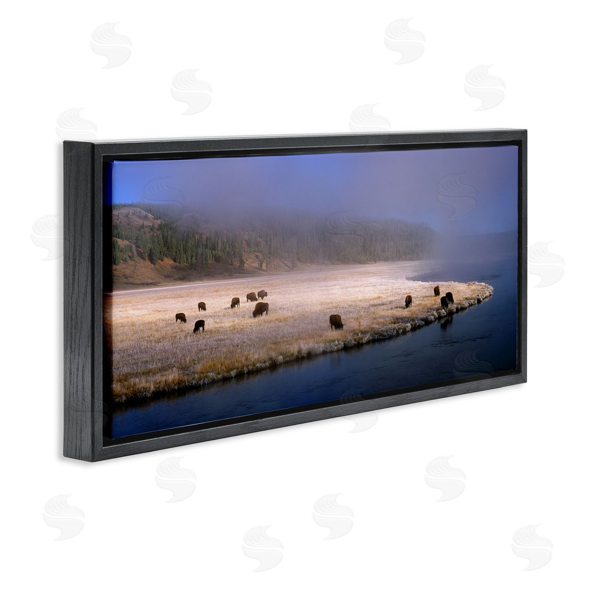 Jim Becia Bison Animals Grazing Rural River Nature Photography