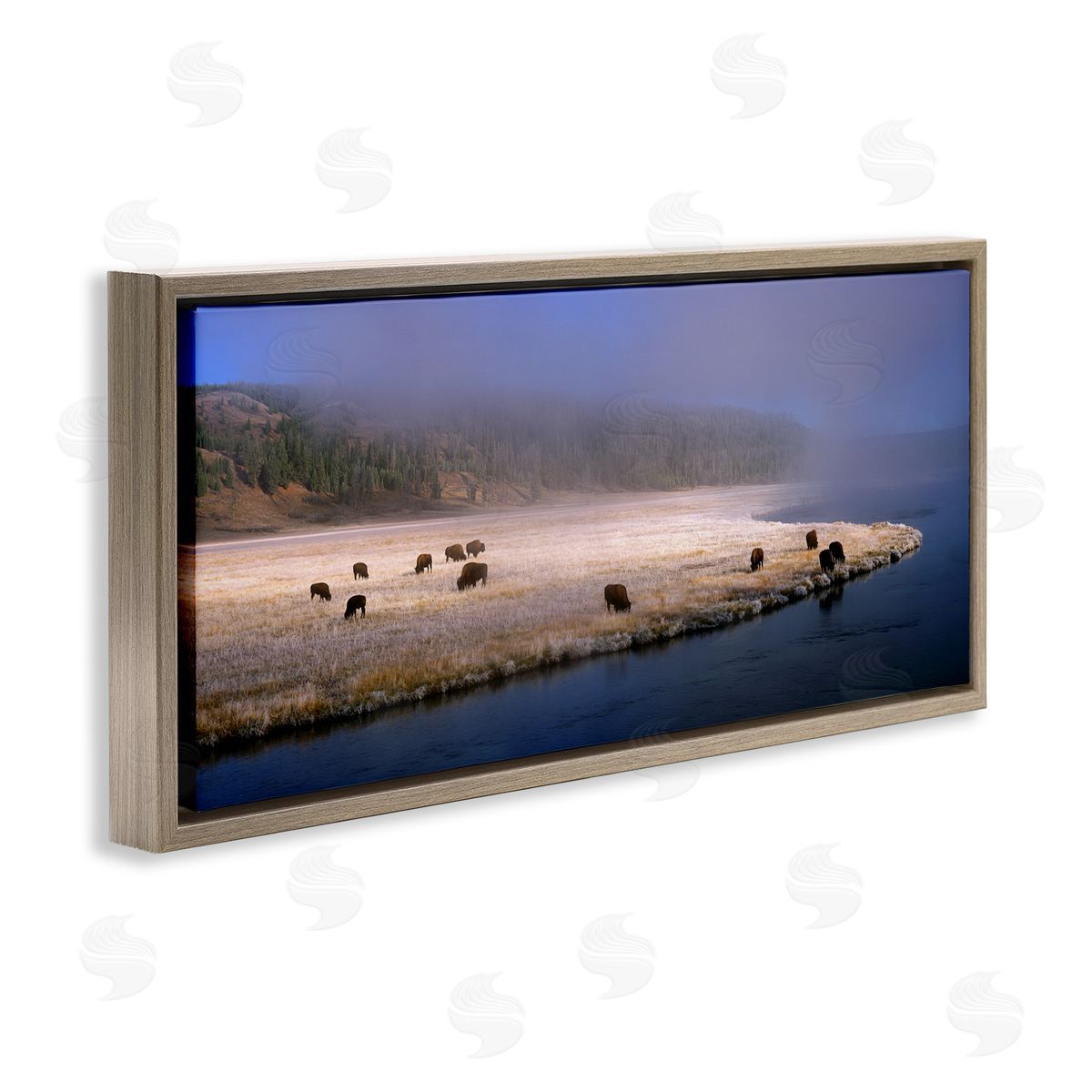 Jim Becia Bison Animals Grazing Rural River Nature Photography