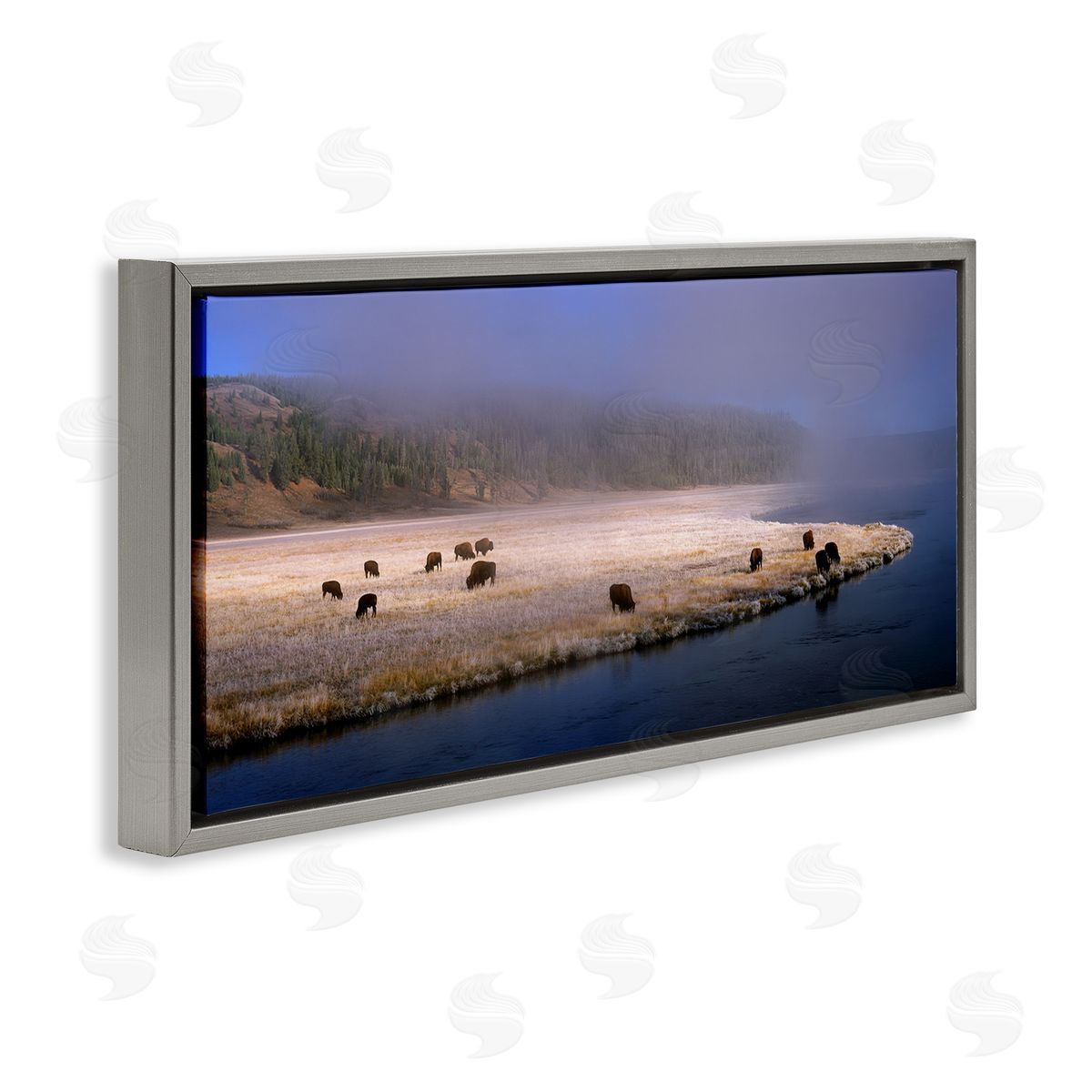 Jim Becia Bison Animals Grazing Rural River Nature Photography