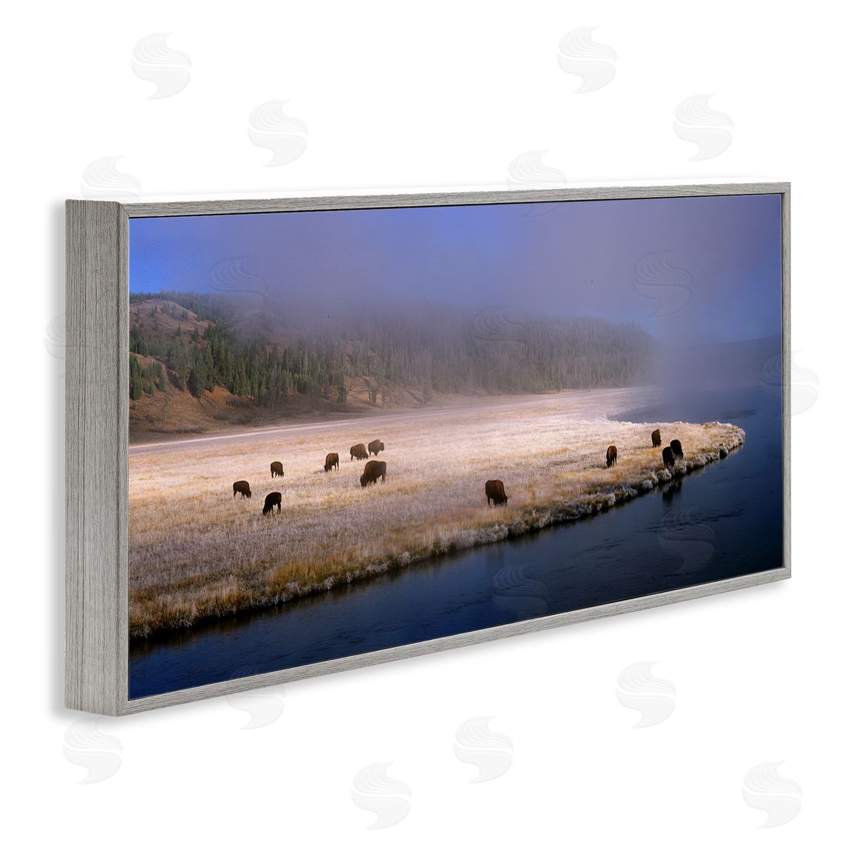 Jim Becia Bison Animals Grazing Rural River Nature Photography