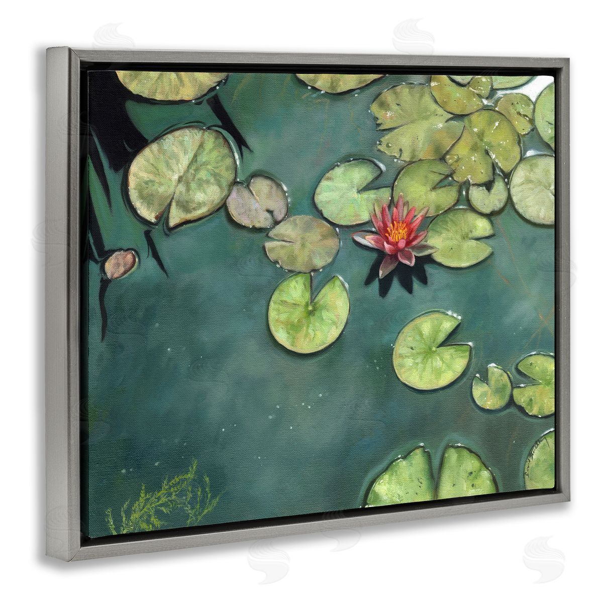David Stribbling Pond Lily Lotus Blossom Floating Peaceful Botanicals Gray Floating Frame Canvas Wall Art Print