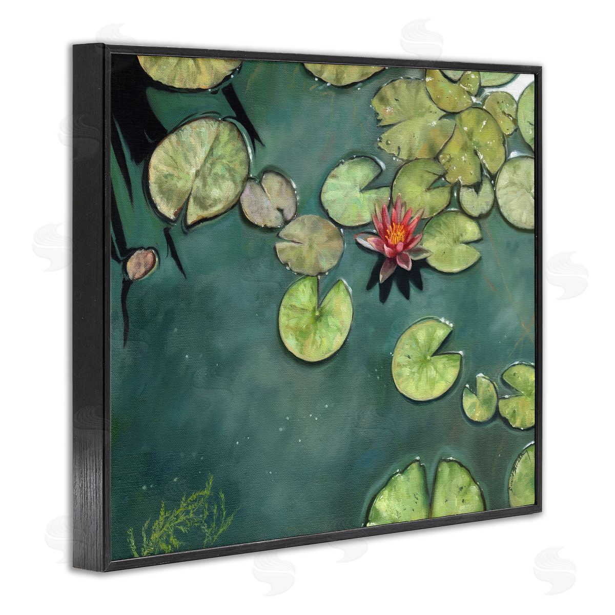 David Stribbling Pond Lily Lotus Blossom Floating Peaceful Botanicals Black Framed Giclee Wall Art Print