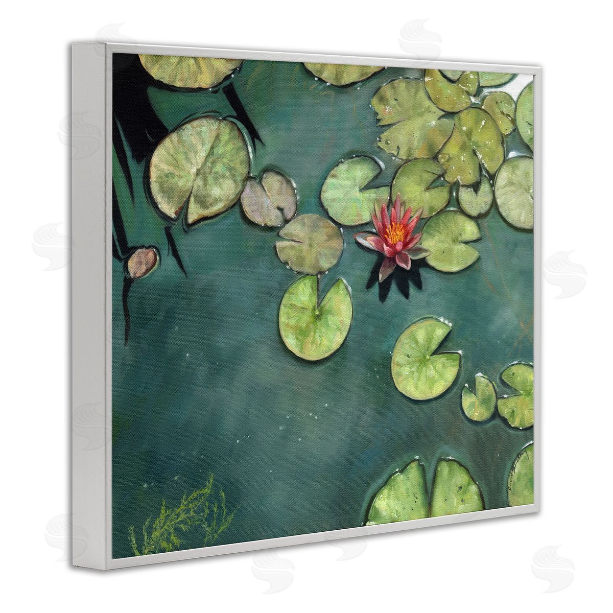 David Stribbling Pond Lily Lotus Blossom Floating Peaceful Botanicals White Framed Giclee Wall Art Print