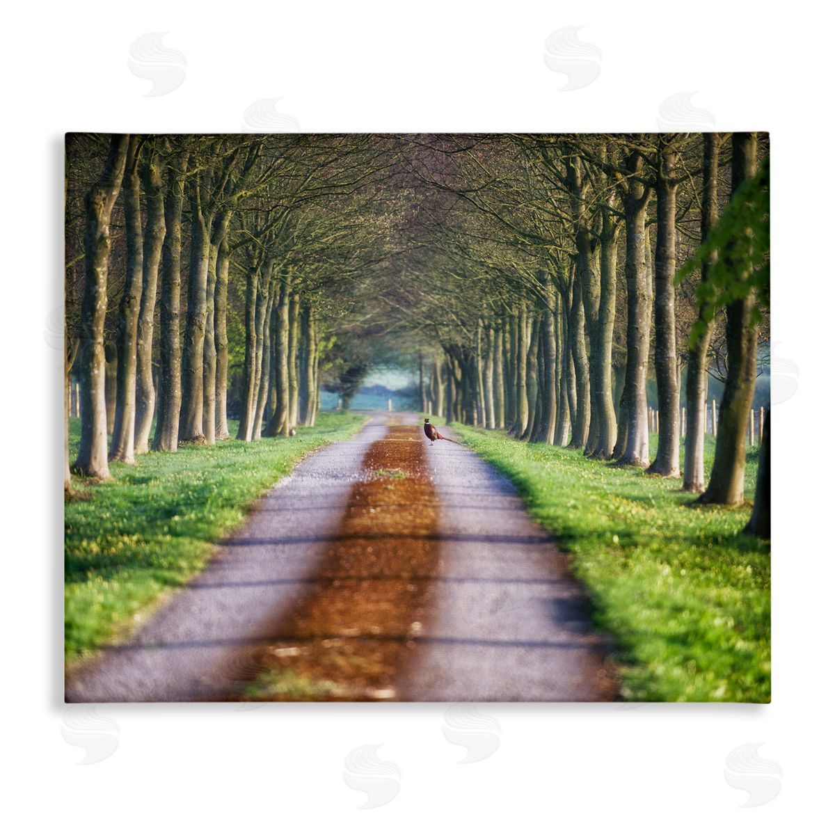James Dobson Aligned Trees Along Orchard Path Nature Tunnel Stretched Canvas Wall Art Print