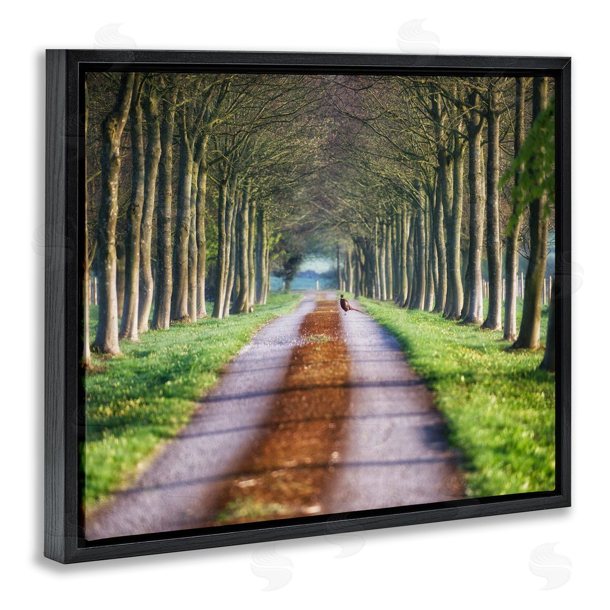 James Dobson Aligned Trees Along Orchard Path Nature Tunnel Black Floating Frame Canvas Wall Art Print