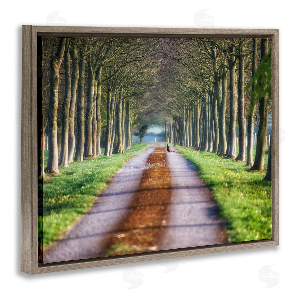 James Dobson Aligned Trees Along Orchard Path Nature Tunnel Brown Floating Frame Canvas Wall Art Print