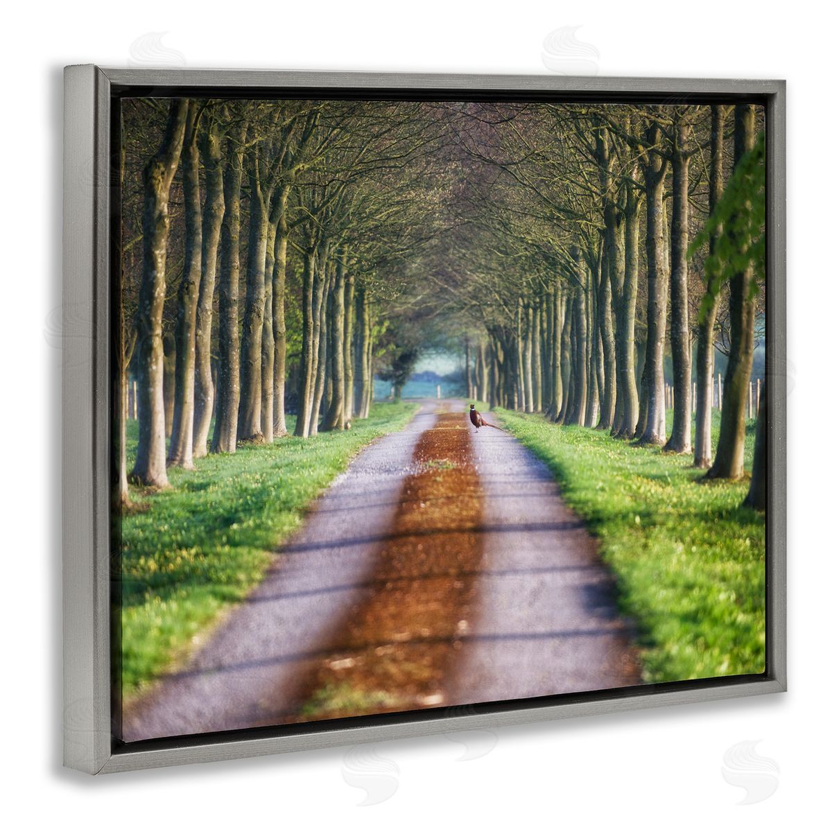 James Dobson Aligned Trees Along Orchard Path Nature Tunnel Gray Floating Frame Canvas Wall Art Print