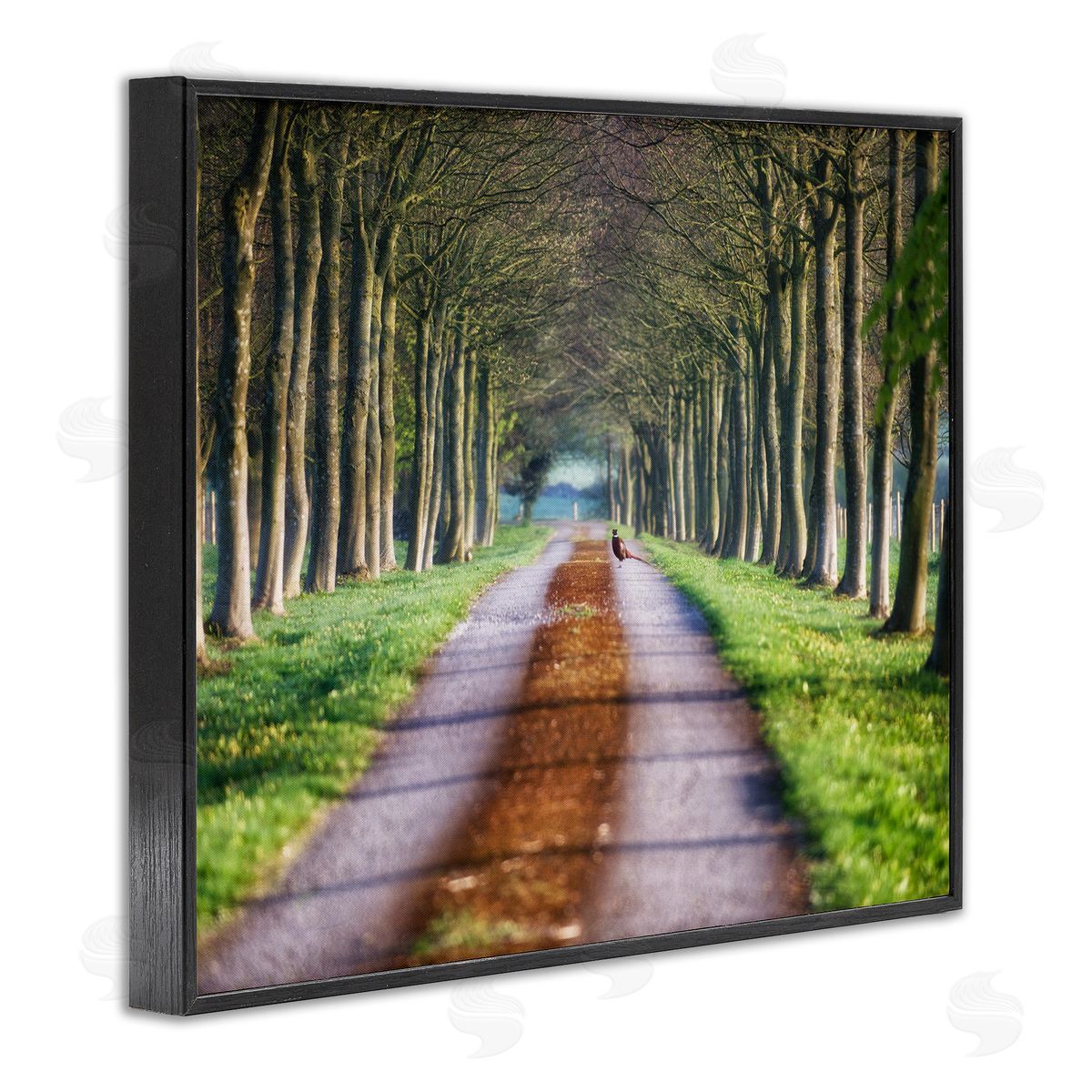James Dobson Aligned Trees Along Orchard Path Nature Tunnel Black Framed Giclee Wall Art Print