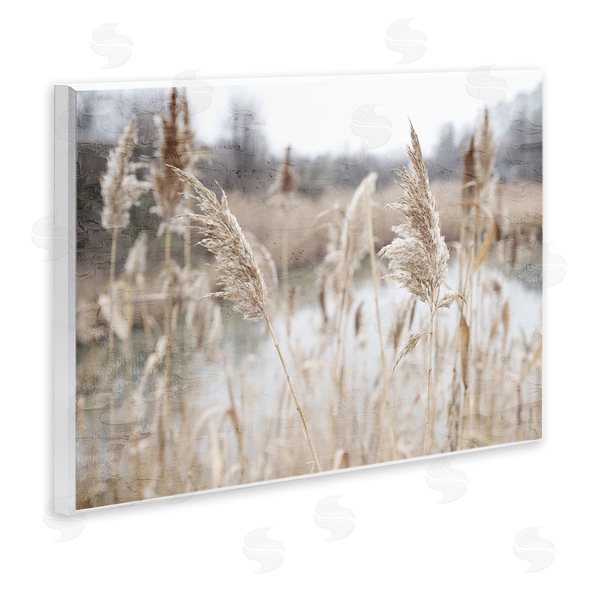Kim Allen Rural Pampas Grass Reeds Lakeside Pond Marsh Wall Plaque Art Print